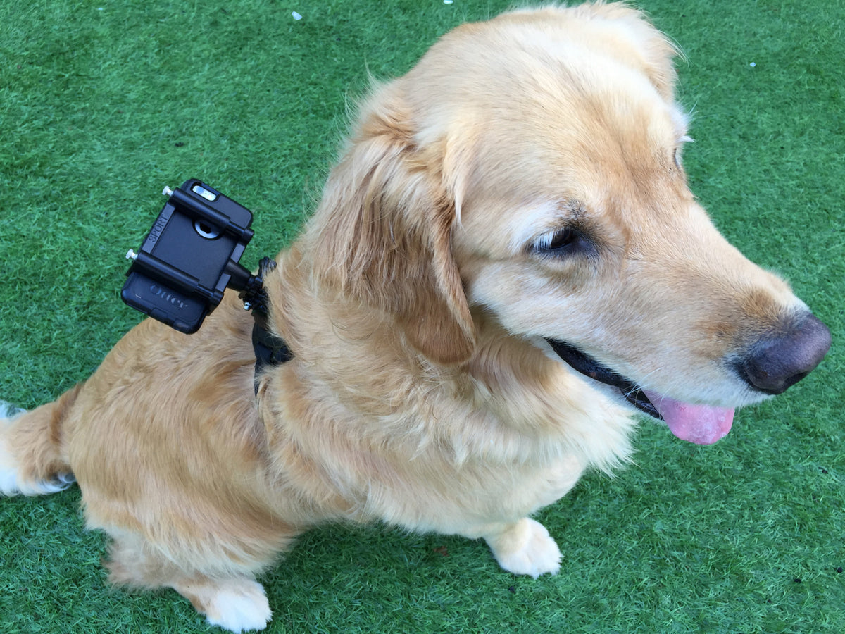 READYACTION Dog Mount for iPhone and Galaxy Android