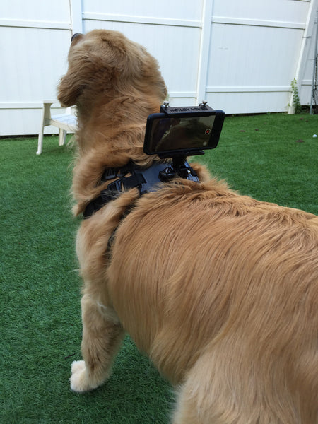 READYACTION - Dog Mount for iPhone and Galaxy Android