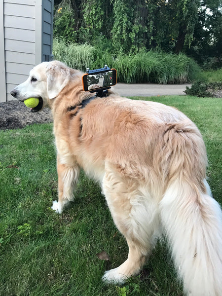 READYACTION - Dog Mount for iPhone and Galaxy Android